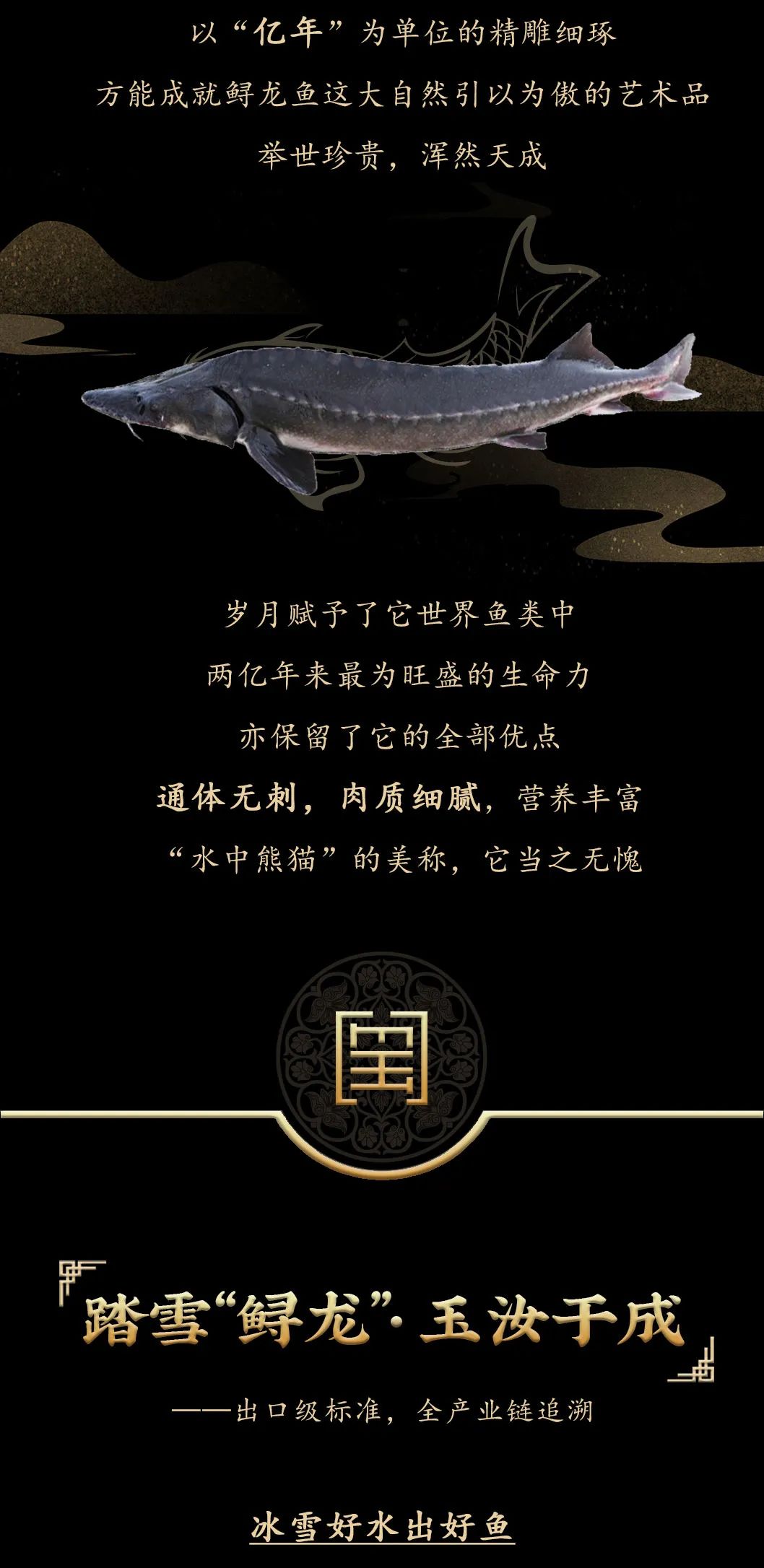 九州鱘龍魚片上新 | 自然臻藏，獻給吃魚有講究的人